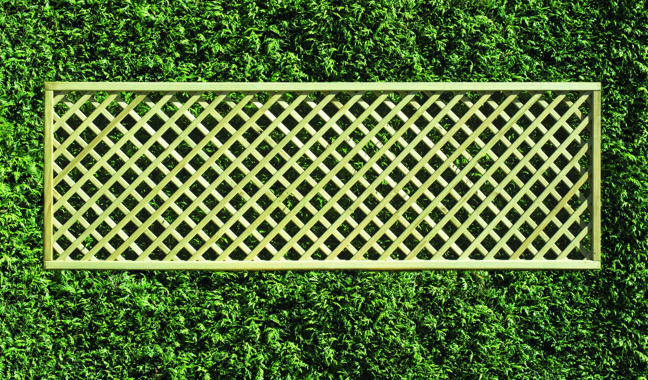 Rectangle Diamond Lattice Fence Panel